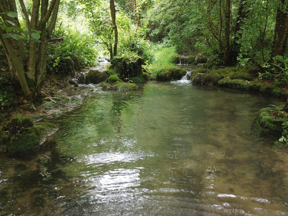 Moulin Bas, Pres De La Riviere Acomodação com café da manhã Carnac-Rouffiac Exterior foto